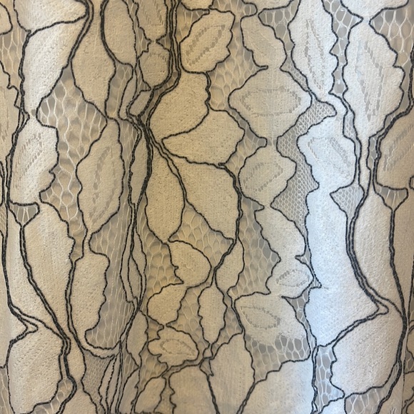 Beautiful Lace Dress - Picture 2 of 10